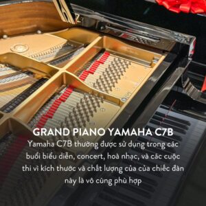 Grand Piano Yamaha C7B Cao Cấp tại Đức Trí Music