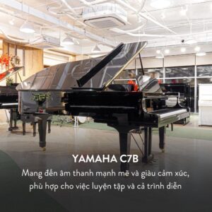Kích thước Grand Piano Yamaha C7B Cao Cấp tại Đức Trí Music