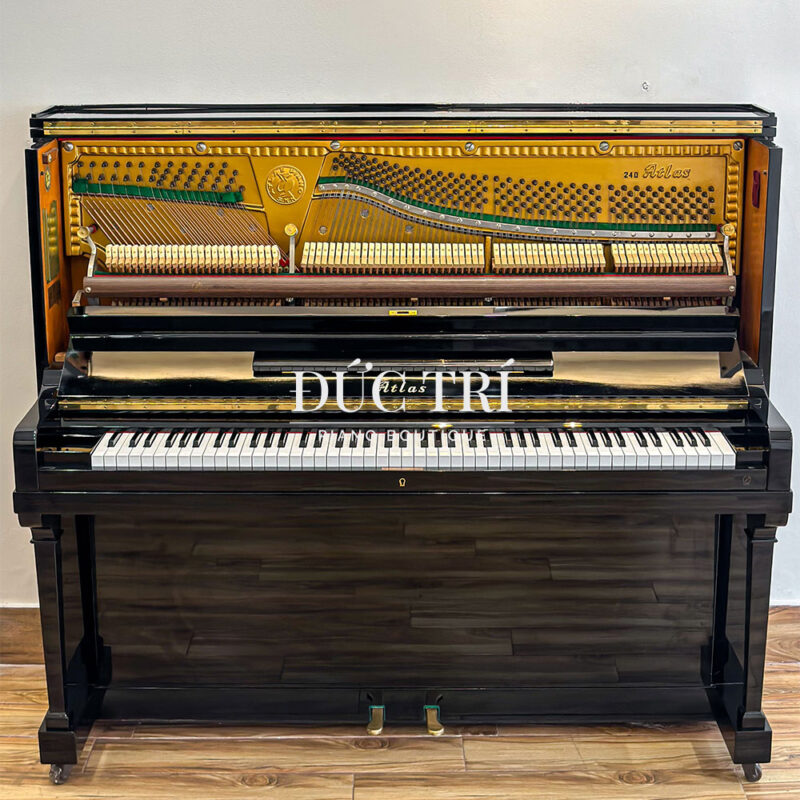 MÁY ĐÀN ACTION ATLAS A240