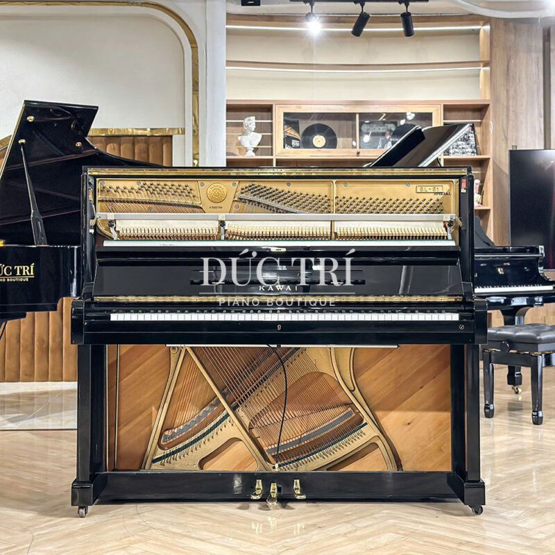Máy Đàn Piano Kawai BL51S Special