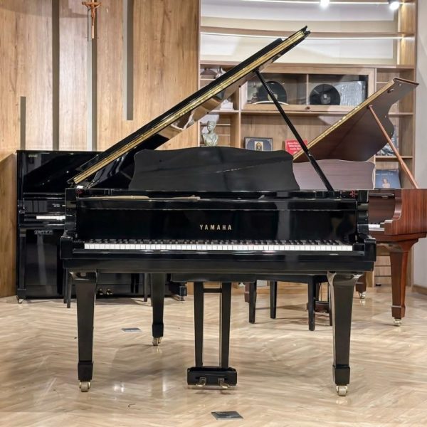 Yamaha C3B