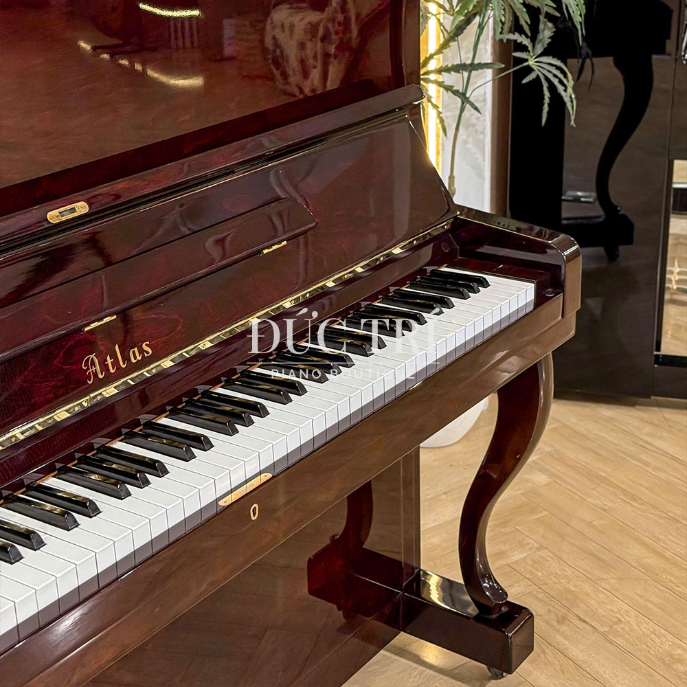 So sánh đàn Piano và Organ nên chọn loại nào phù hợp? 4 Cận cảnh phím đàn Piano