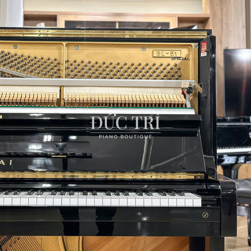 chốt pin Đàn Piano Kawai BL51S Special