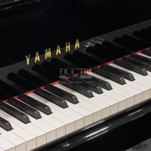 phím Yamaha C2X piano đức trí