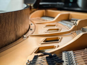 FRAME KHUNG GANG BOSTON GP-178