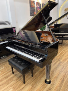 MẶT HÔNG BOSTON GP-178