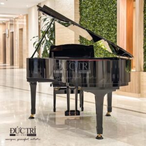 Đằng sau đàn Yamaha G3B