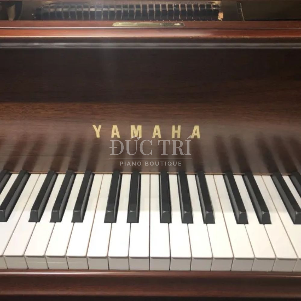 Phim dan tren dan Yamaha G2B yamaha g2b Phím đàn trên đàn Yamaha G2B