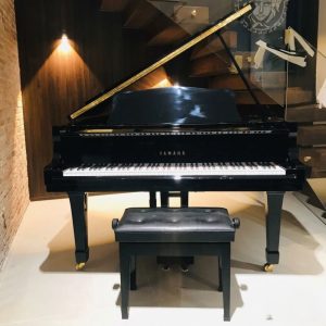 Yamaha G2B