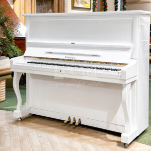 đàn piano màu trắng rinbel no310