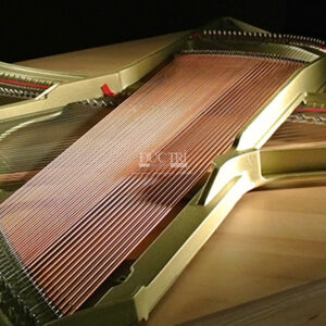 BẢNG ÂM VÀ DÂY-KAWAI-K800