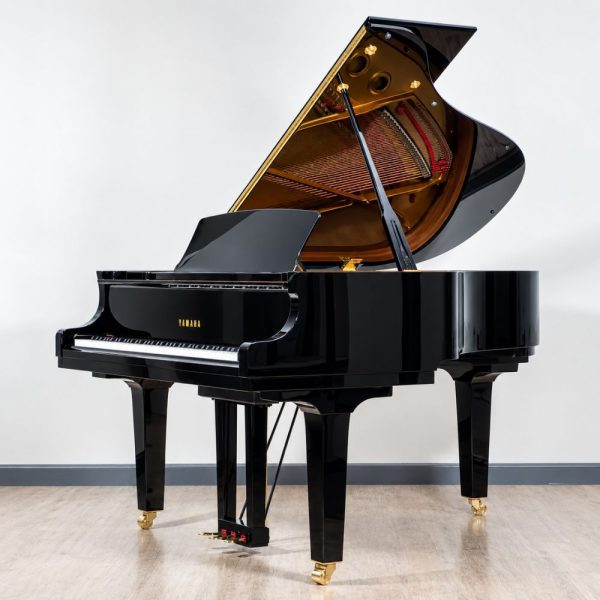 Yamaha C5X