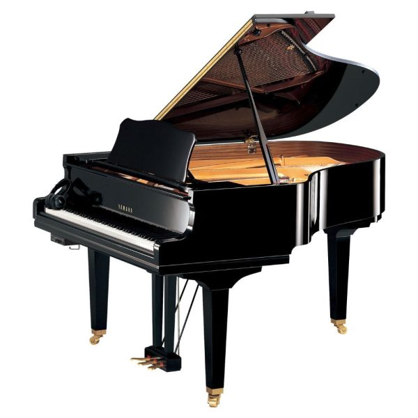 Yamaha DGC1