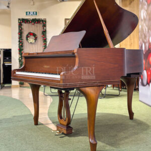 Bán đàn Piano Yamaha G2B custom đức trí music