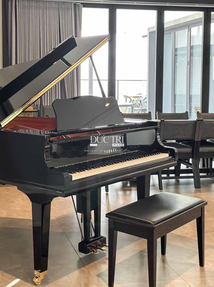 Đàn Piano Yamaha DGC1 ENPRO