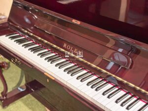 logo đàn rolex kr22