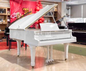 grand piano yamaha g3 trắng trưng bày tại showroom piano đức trí
