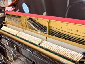 Chốt pin đàn piano yamaha u10bl cao cấp