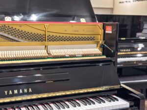 Số seri yamaha u10bl