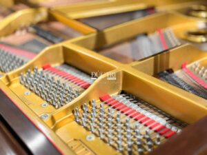 chốt pin đàn grand piano atlas special toshiko tại đức trí music