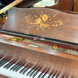 Bàn phím đàn piano atlas special toshiko