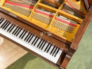 đàn grand piano atlas special toshiko tại đức trí music