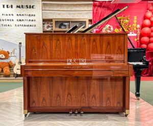 bán đàn yamaha w104 pwn