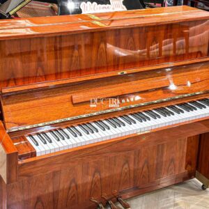 vỏ đàn yamaha w104 pwn