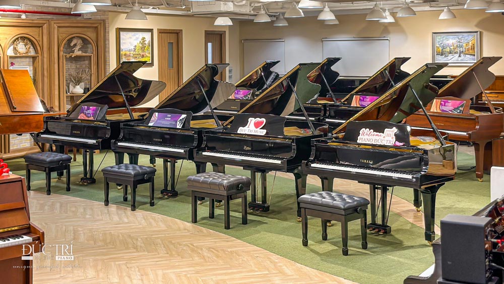 showroom đàn piano yamaha đức trí music