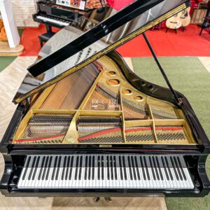 Ảnh chi tiết về Đàn Piano Yamaha G5