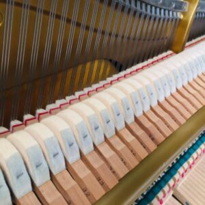 Búa và dây đàn Yamaha UX5