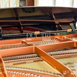 Đàn Piano Yamaha DC6X ENPRO