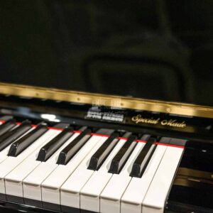 Kawai DS70 special mode