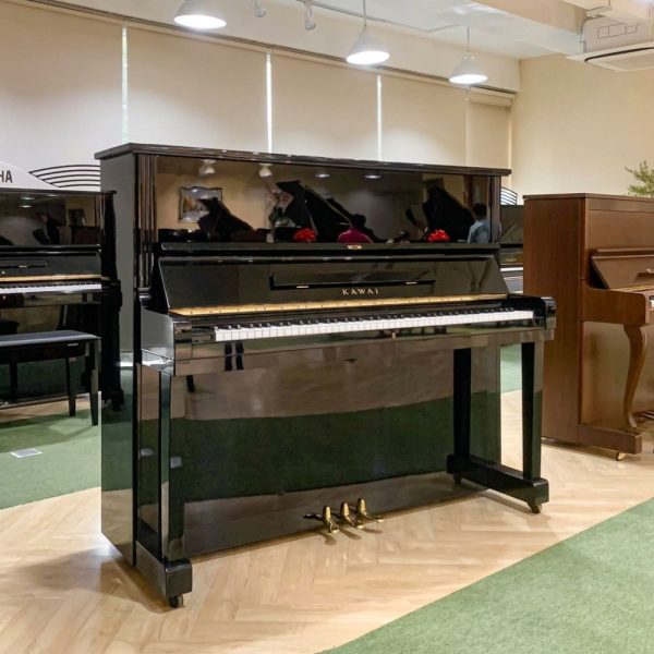 Kawai KU3D