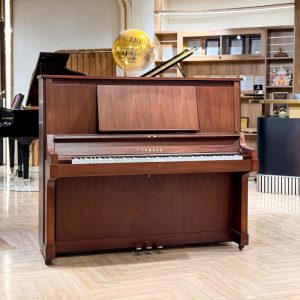Màu sắc trên đàn Yamaha W101
