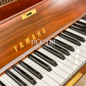 Phim-dan-yamaha-w101