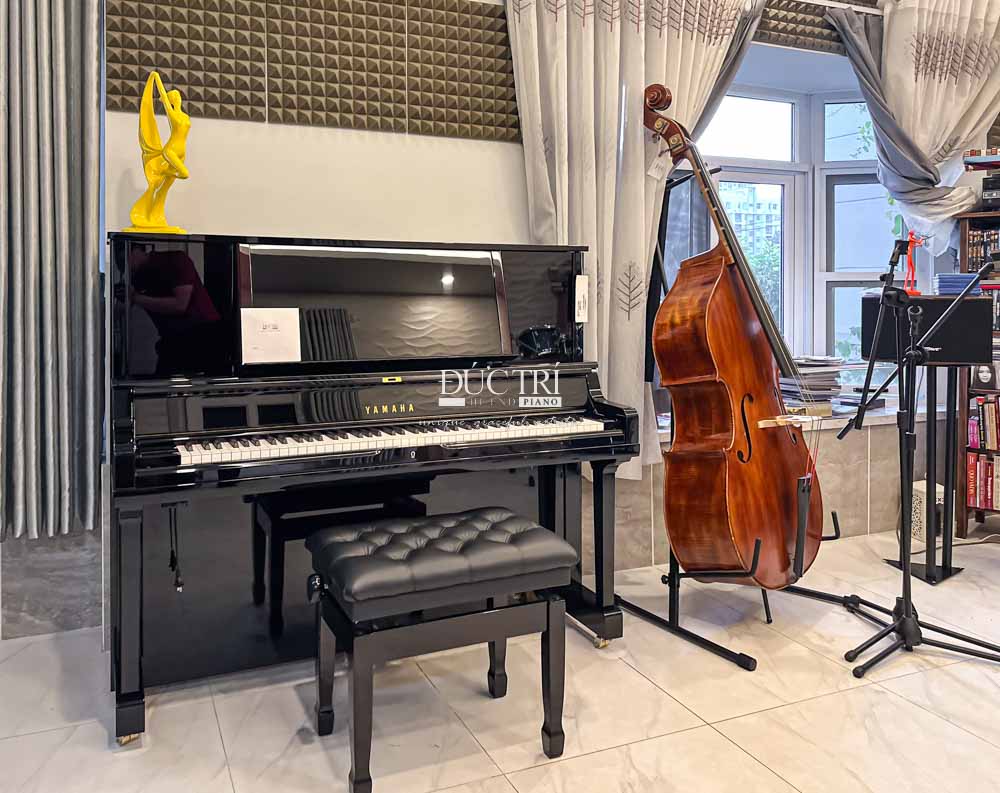 Đàn Yamaha YUS5 đặt trong không gian âm nhạc cùng Chiếc Contrabass