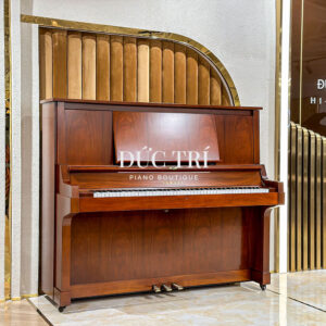 dan-piano-Yamaha-W101-ductri