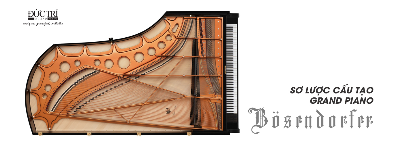 sơ lược cấu tạo đàn grand piano đức trí music bosendorfer việt nam