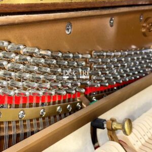 Đàn Piano Essex EUP123 tuning pin