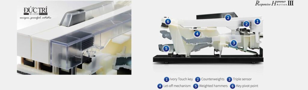 Hanh dong phim Responsive Hammer III so sánh Kawai ES520 và Kawai ES920 Hành động phím Responsive Hammer III