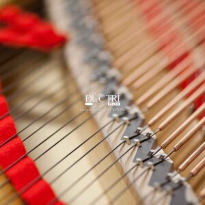 Ngựa Đàn Piano Steinway & Sons B-211 Black Polished Piano Đức Trí