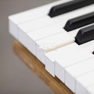 Phím Đàn Piano Steinway & Sons B-211 Độ Nhạy Hoàn Hảo - Piano Đức Trí