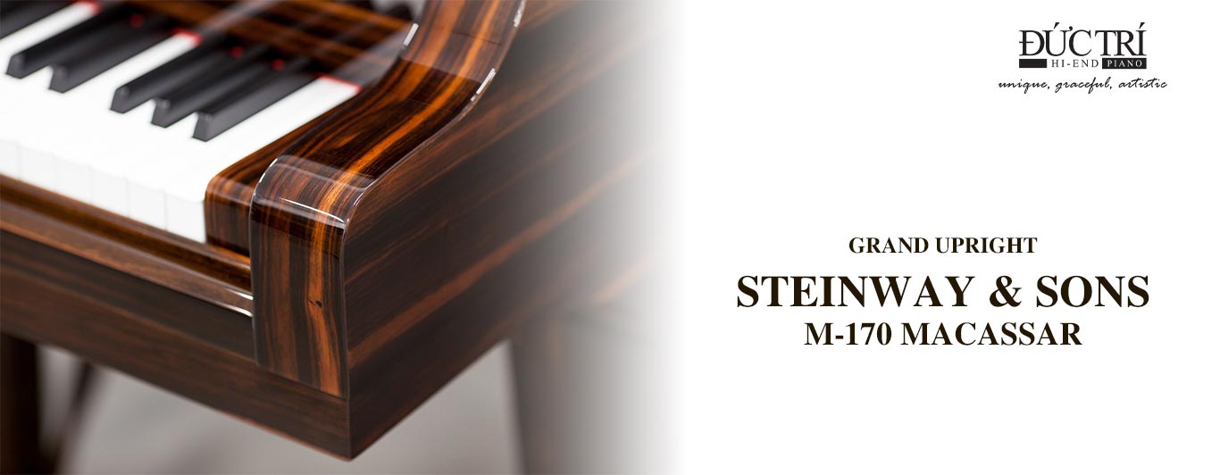 đàn grand piano steinway m-170 macassar