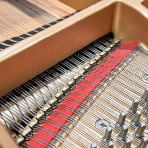 Grand Piano Boston GP193 Chính hãng tại Đức Trí Music