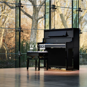 Digital Roland LX6 màu đen