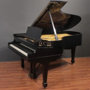 Góc nghiêng Piano Steinway D274