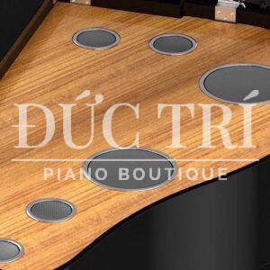 Hệ thống loa trên đàn Yamaha CSP-295GP