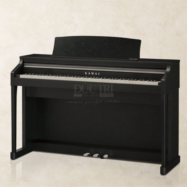 Kawai CN24
