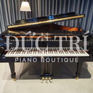 Mặt trước đàn Steinway A-188